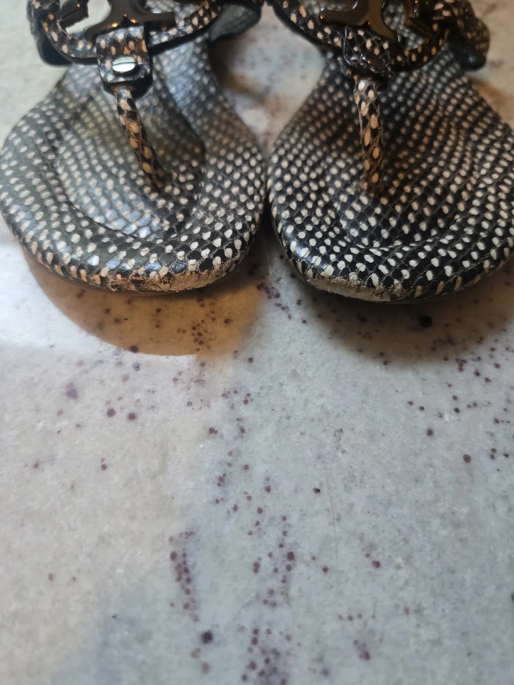 Tory Burch Black & White Snakeskin-Print Miller Thong Sandals